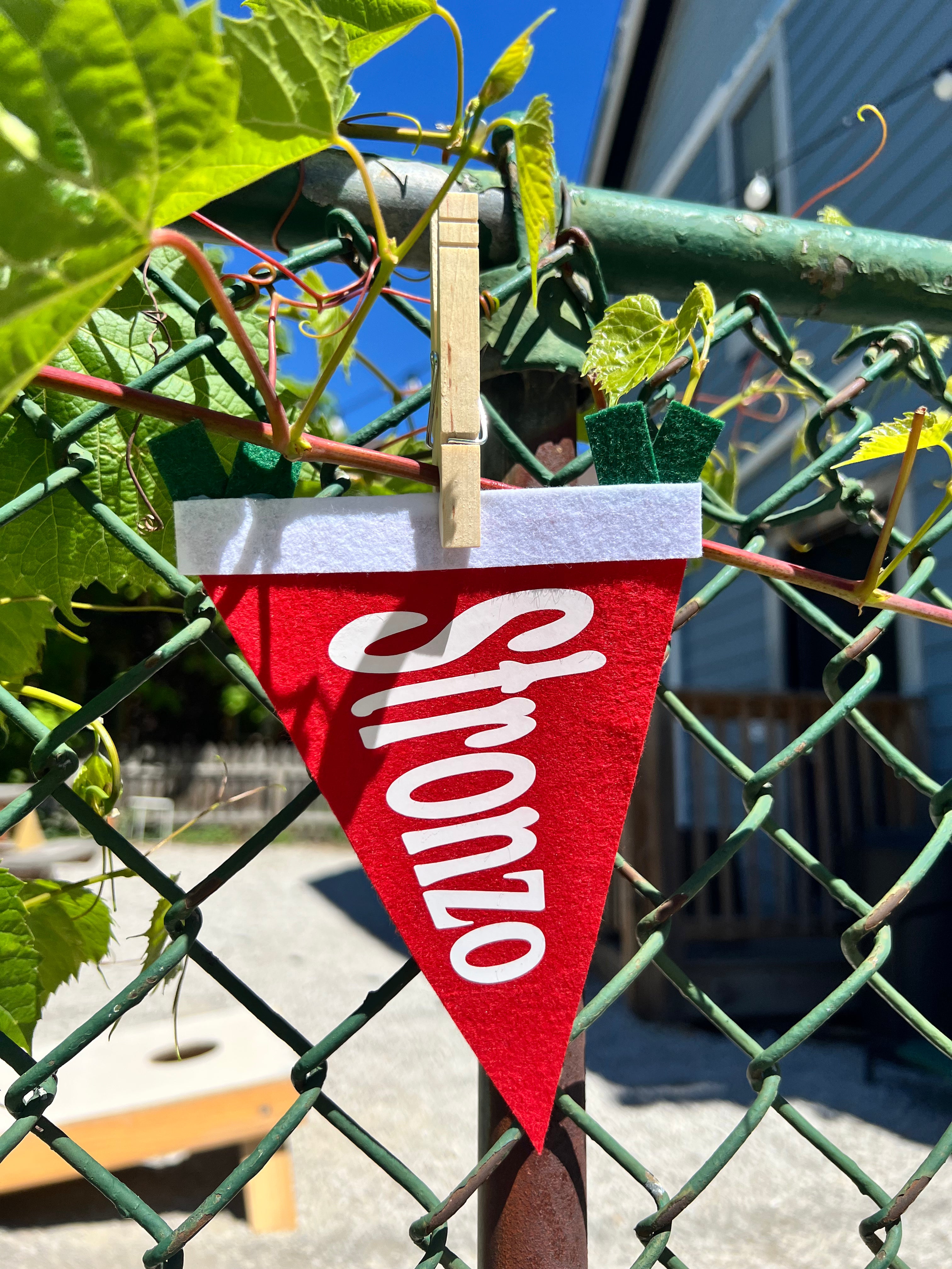 Italian Slang Pennant Flags