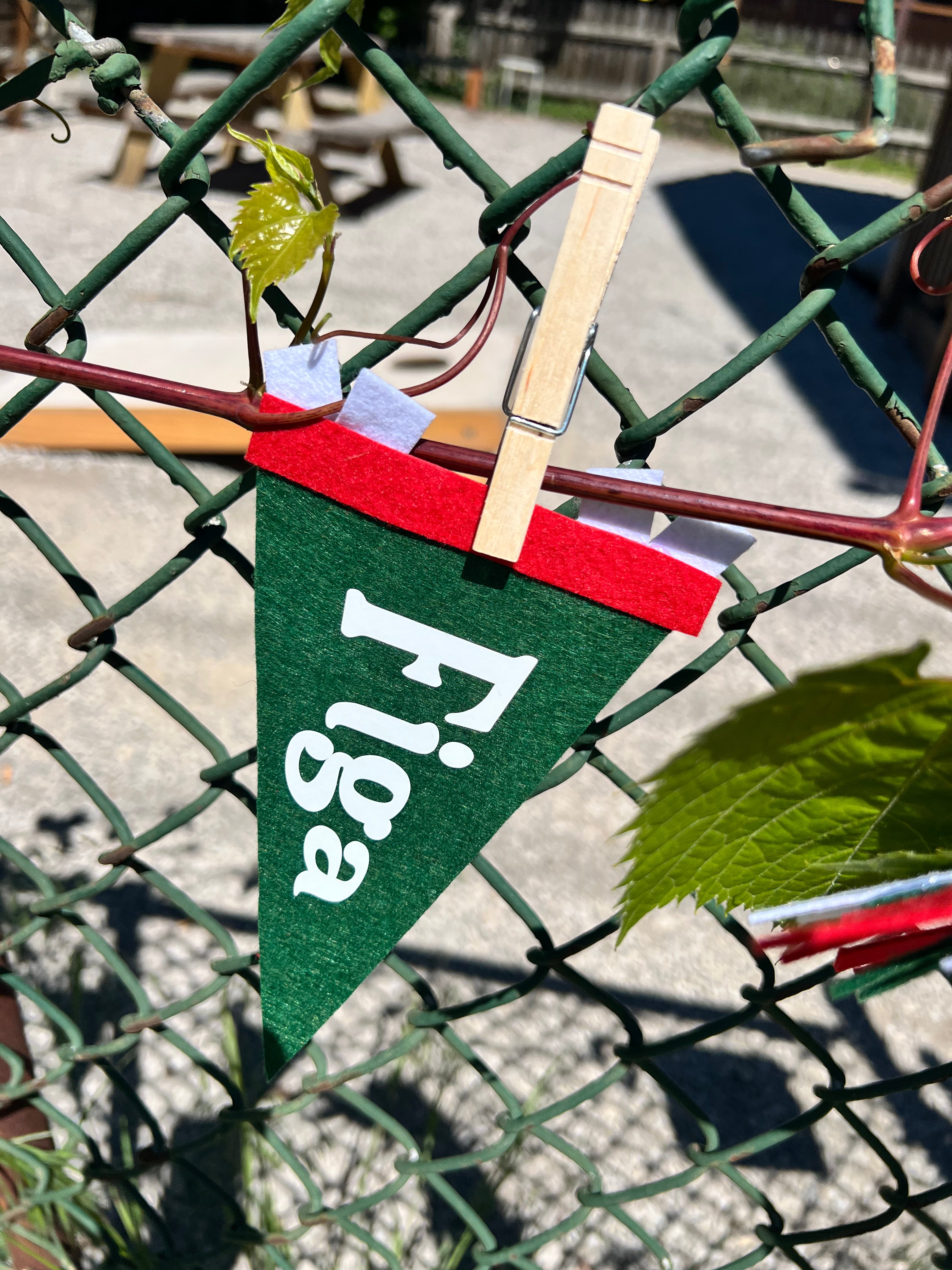 Italian Slang Pennant Flags
